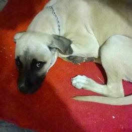 D 26e30a3b 50c3 4042 a811 08e5dfef6773