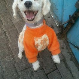 D 8fd276b7 313e 4c0d 99c3 95797bb9ec64