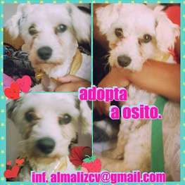 D d525b769 5ac1 4590 bd95 ec0ef47ae3fb