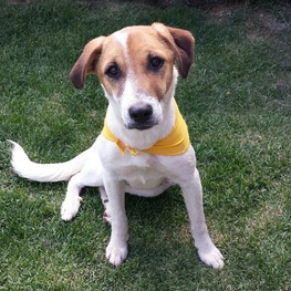 D cef422bc b33a 4b36 a357 afbdec42bd24