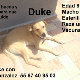 D 5b6bceeb 2f0e 46b8 9580 e3a0400007b2