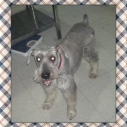 D 75fbc33c 2f23 4629 9525 b16b9ab49990