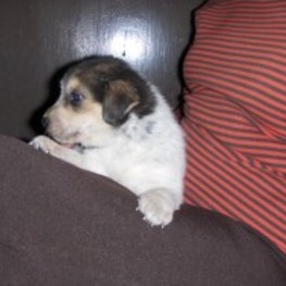 D 704c13c6 e8a3 4b89 a3a0 7ae48dfb3564