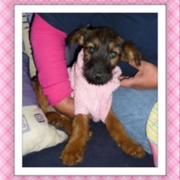 D 0389ade3 4a76 40b3 bad3 74d2a54e75fa