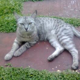 D bc03e97c 911c 4faf b9e0 57c4c345962f