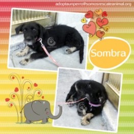 D 1824b383 d599 4e47 8afa b8092a84dab8