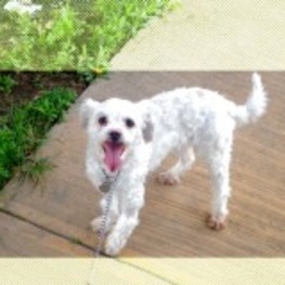 D 7a5fa9f0 dca3 43ca 9ae5 c9777889a18d