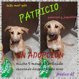 D 90bce9d4 fc73 43fb a784 f2ff9ce3c1ff