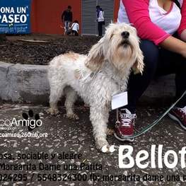 D 43594f5e 803c 4499 8a42 fb8ffbacba11