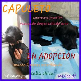 D 803ac0b4 4fbf 4bb2 bd31 046872b49c18