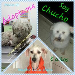 D dacd85a1 c696 4364 bda1 beb3888569c1