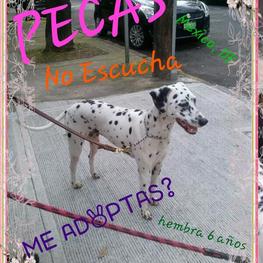 D 06657ee4 ab9f 4a3e 9885 33a3e728e3a9