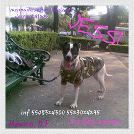 D 81bf72ea e243 4fa7 8dae caf3098df5c1