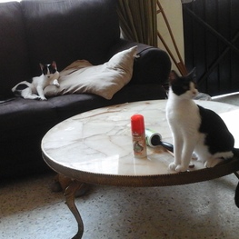 D 2c95d9ec 56dd 4c56 b2d8 fc034eb9d6a5