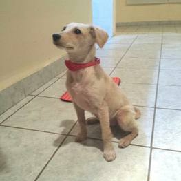 D 466c1490 96cf 465e aeca 453a20e93a7e