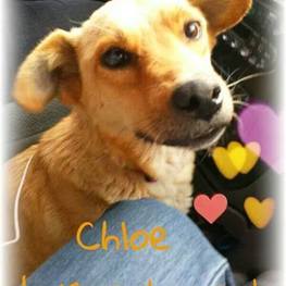 D 00683888 877b 4acf ac93 e946935ac575