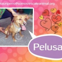 D 0c0e47d7 30e7 41b2 9d8b 61ed592d2bae