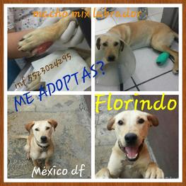 D ce0c999d 46ec 4823 9ae0 71f1510e4f6d