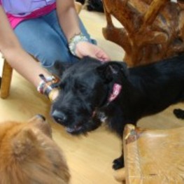 D b1f8d082 64b2 4ba0 ba3b 61bfea73afdd