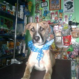 D 53fc9eb8 76ae 4909 b2d9 8c36b1677d33