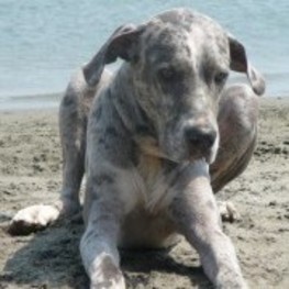 D 3dd63c05 28e5 4d5f 9a19 4b86617d0988