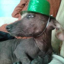 D c1b2153c 05fd 42a2 b5a1 c7ade11da97e