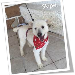 D f22712d8 fc70 4c8d acae e5a528f0ba0f