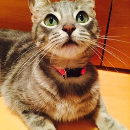 D 5f9ab841 44fa 465d 9d09 381b0dfda0d9