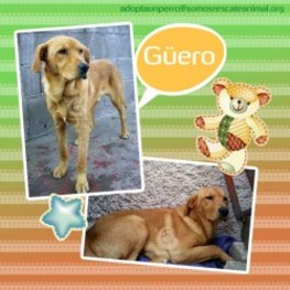 D 27e5a530 e685 4de5 8740 5fb0f11749fc