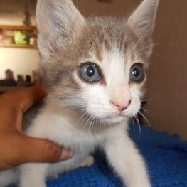 D b3902a78 06cf 4e51 8584 6f5cdcdad58f