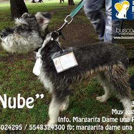 D 2d945faa 00d4 4257 84f6 d6fd67dfef5a