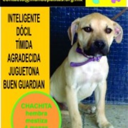 D 81840da4 b6eb 4b6c 89ee 3c8abf395d3f