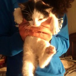 D d4f4c339 5526 4cca 9aec d5c4c4db89b3