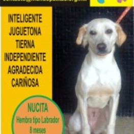 D 6d42aeb8 e9ad 48b5 b23f d544969c49c0