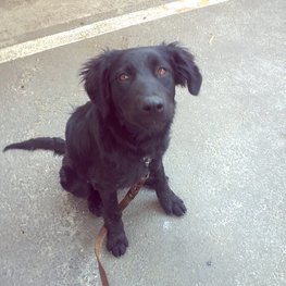 D 9f05d5c9 fe19 43ac ac87 49e6398943c2