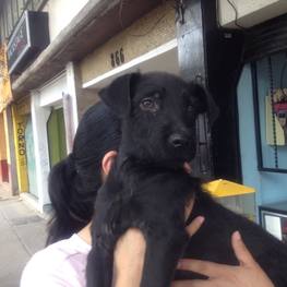 D 7bba63c2 d6fd 45a5 a7db 93b5bf3dabfe