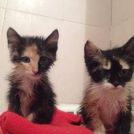 D bdd36a90 a3f3 4adc ba50 6f8c6e2698af