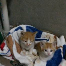 D 925b599d c9d9 4c5c b57f d5e1391aa49f