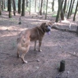 D 6d2b9e9b f057 4a42 abc4 920b0da9633d