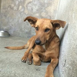 D d0658507 cf88 4c95 9fa4 64b38fe821e6