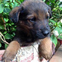 D 1697f6bc 1cdc 41ef aae3 6182f6773369