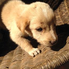 D 750160d7 6e75 4f45 8673 e2e00b1176bc