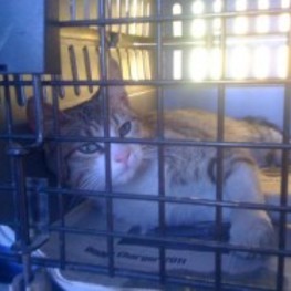 D ae299b2a 089f 4c1a b6c0 c9a1813f154f