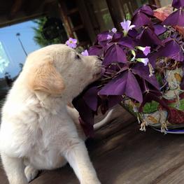 D 6c844bd4 1c92 4a2a 81b5 3be324a3d432