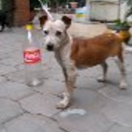 D 3339450b 7700 4443 949b c9ea1e57775a