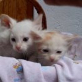 D 1192fc09 ad1b 4492 b44b abd3e53b2546