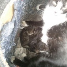 D 26c62059 209e 4c2d 9e02 20f0008f3dcd