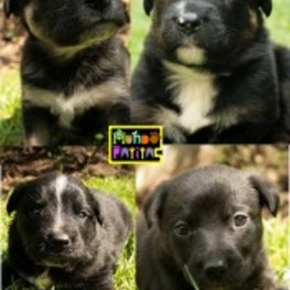 D bdeb19b7 881f 4a88 99bc d54702bddc6b