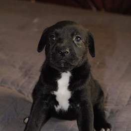 D 6efac6fc d758 4642 a898 cd04e8d78e10