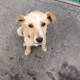 D 37b86f5c 0797 4b8b ad23 a25b69fbbef3